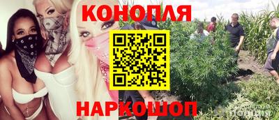 индика Аргун