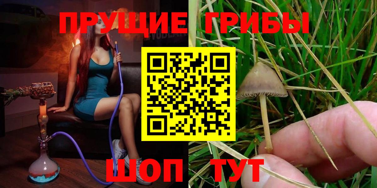 Галлюциногенные грибы мухоморы  Вход с VPN  Видное  Псилоцибиновые грибы мицелий 